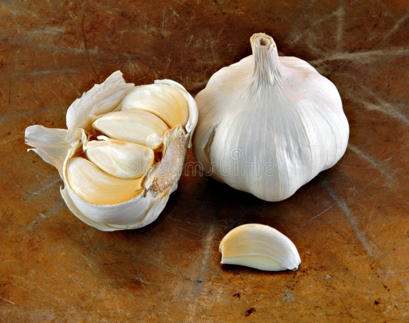 Garlic