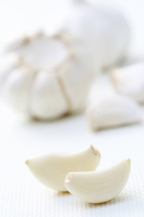Garlic stock photo. Image of essential, alternative, clove 8512064