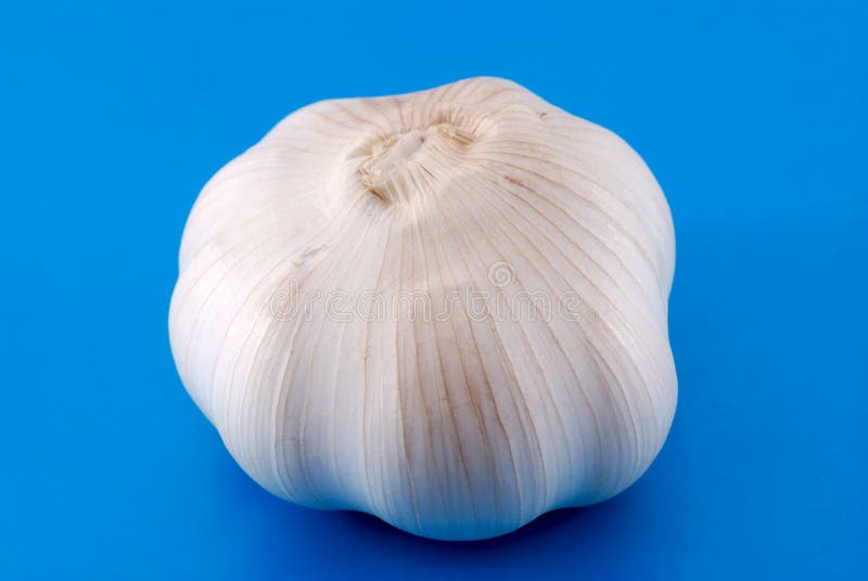 Garlic on blue stock photo. Image of vegetable, spice 6941388