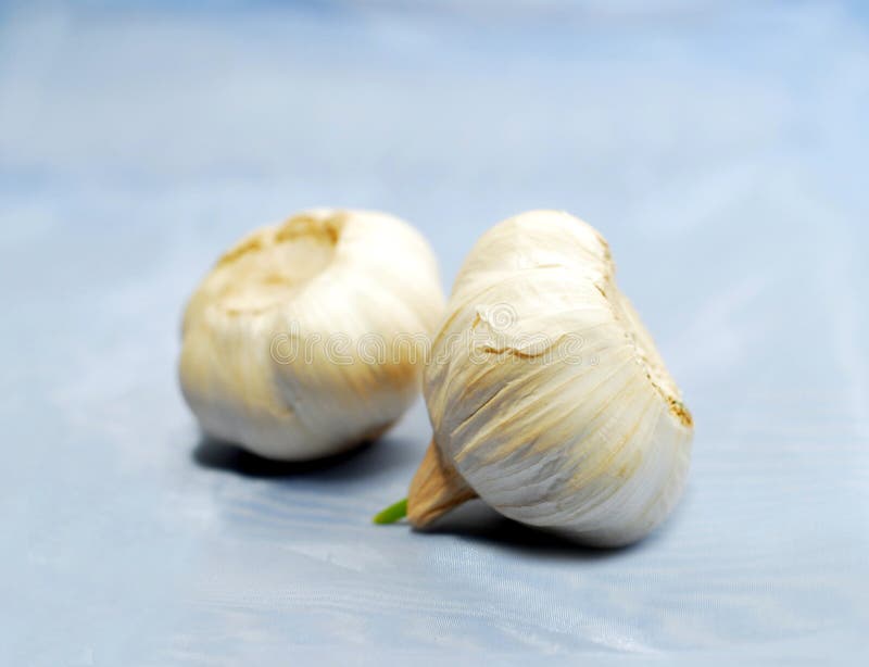 Garlic Cloves stock image. Image of garlic, cooking, cloves 425975