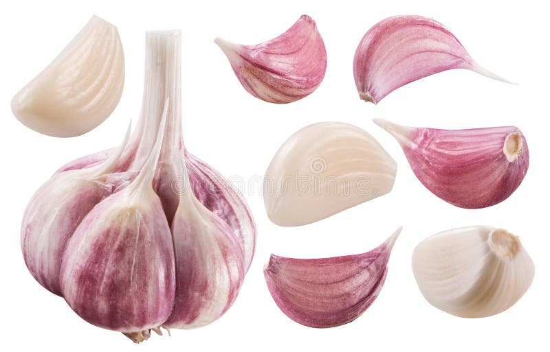 Garlic bulb and garlic cloves. Clipping path. royalty free stock photo