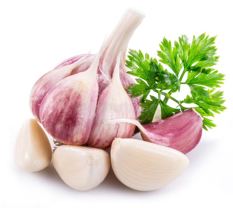 Garlic Bulb, Garlic Cloves And Parsley. Stock Image Image of nutrition, pungent 129420489