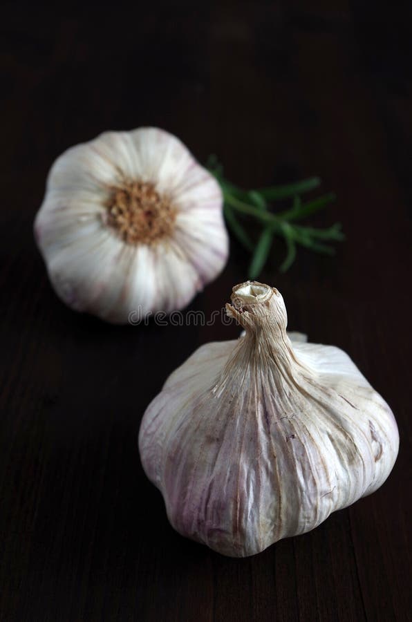 Garlic bulb stock photo. Image of eating, bulbs, type 63174592