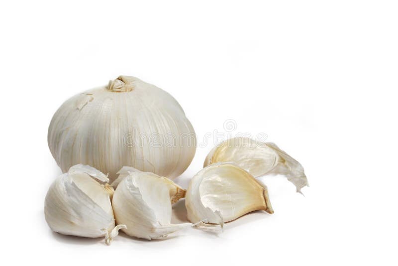 Garlic bulbs stock photo. Image of healthy, medicinal 2100386