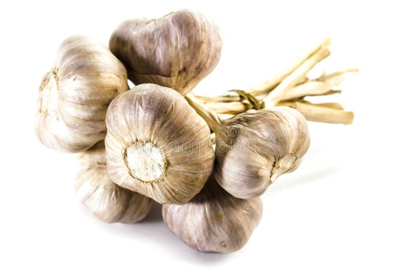 Garlic bunch stock image. Image of clove, cooking, herb 21091389