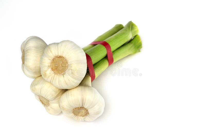 Garlic bulbs stock image. Image of eating, close, plant 34638361