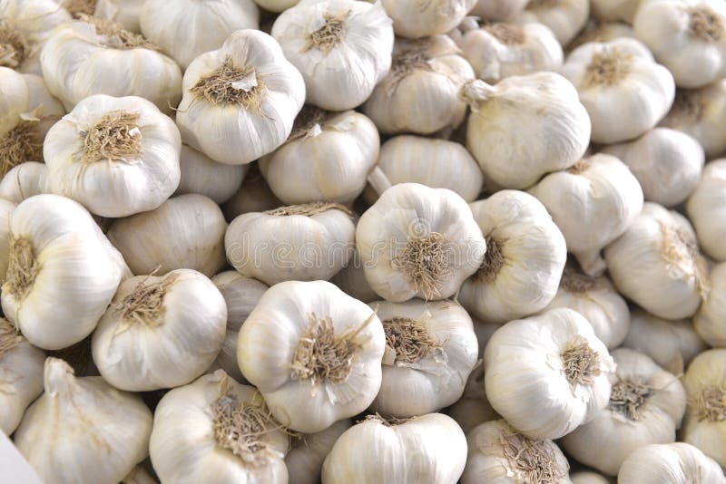 810,303 Garlic Stock Photos - Free & Royalty-Free Stock Photos from  Dreamstime