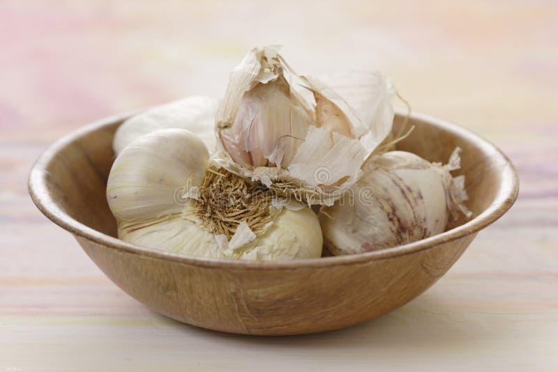 Garlic close-up