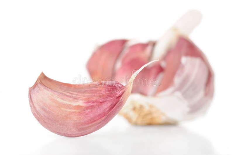 Garlic clove stock image. Image of isolated, full, plant 36431665