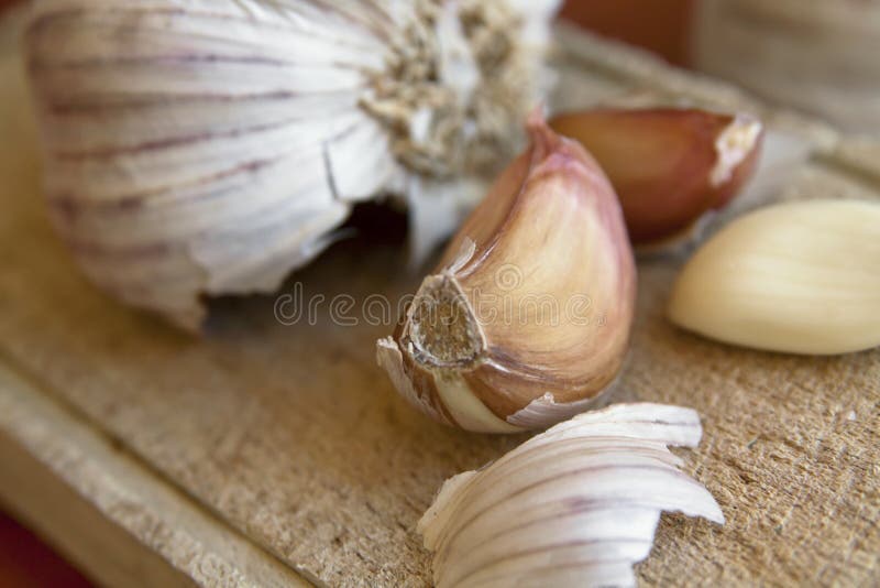 Garlic clove and bulb stock photo. Image of food, healthy 53357610