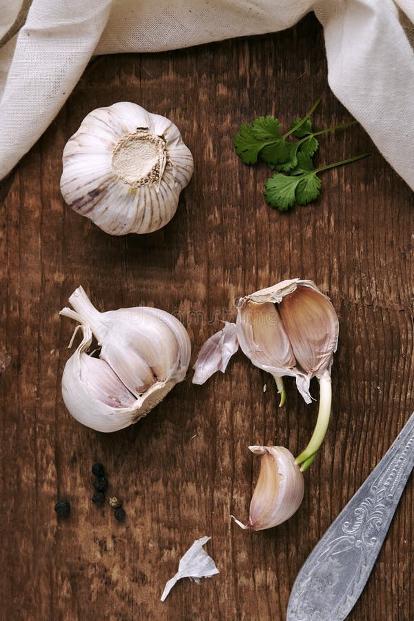 Garlic Clove and Garlic Bulb Stock Photo Image of purple, spice 70766656
