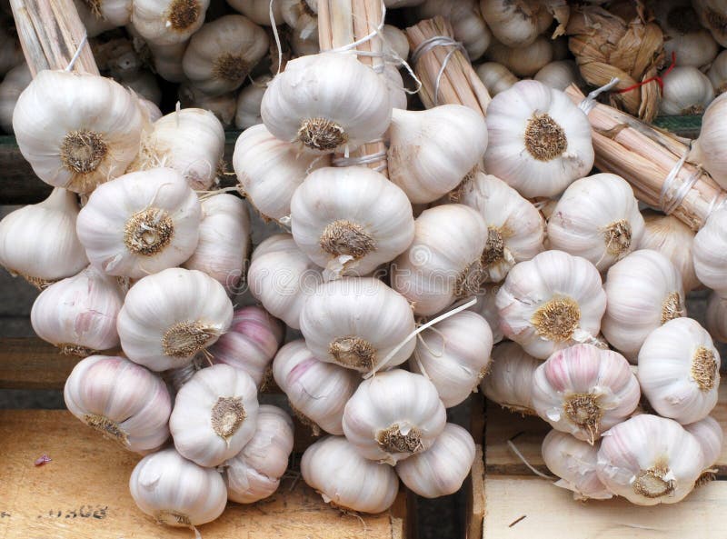 Garlic cloves