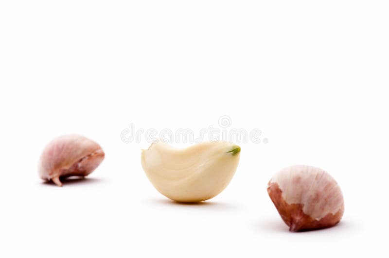 Garlic cloves stock photo. Image of breath, condiment 7359652