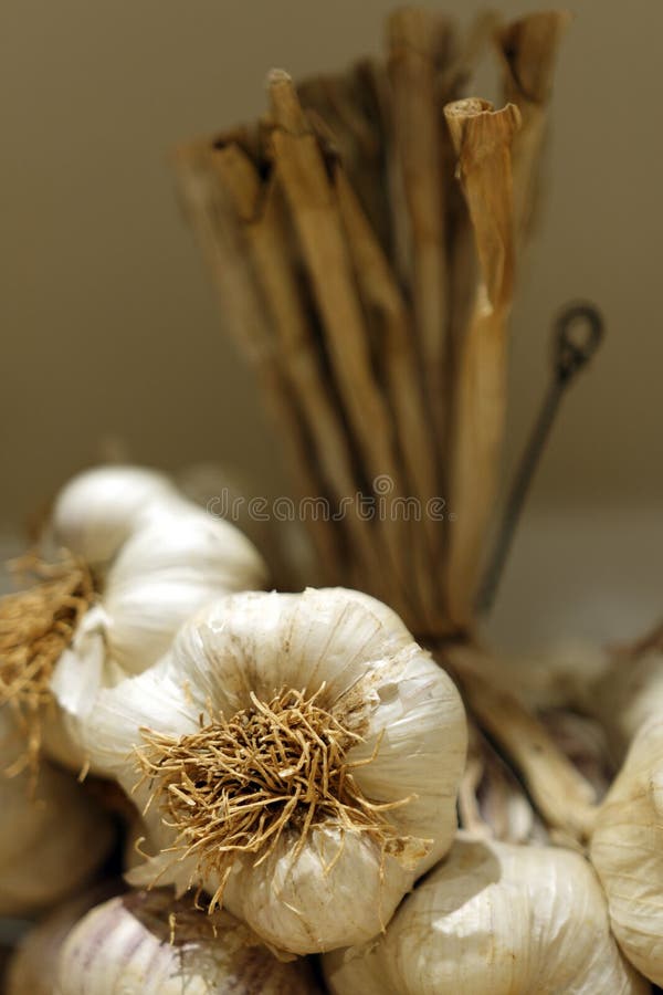 Garlic  cloves