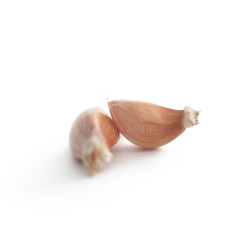 Garlic cloves isolated on white background stock image