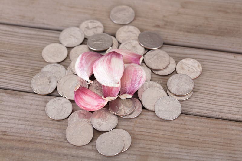 Garlic Cloves on a Pile of Dollar Coins Stock Image Image of life, mask 253527727