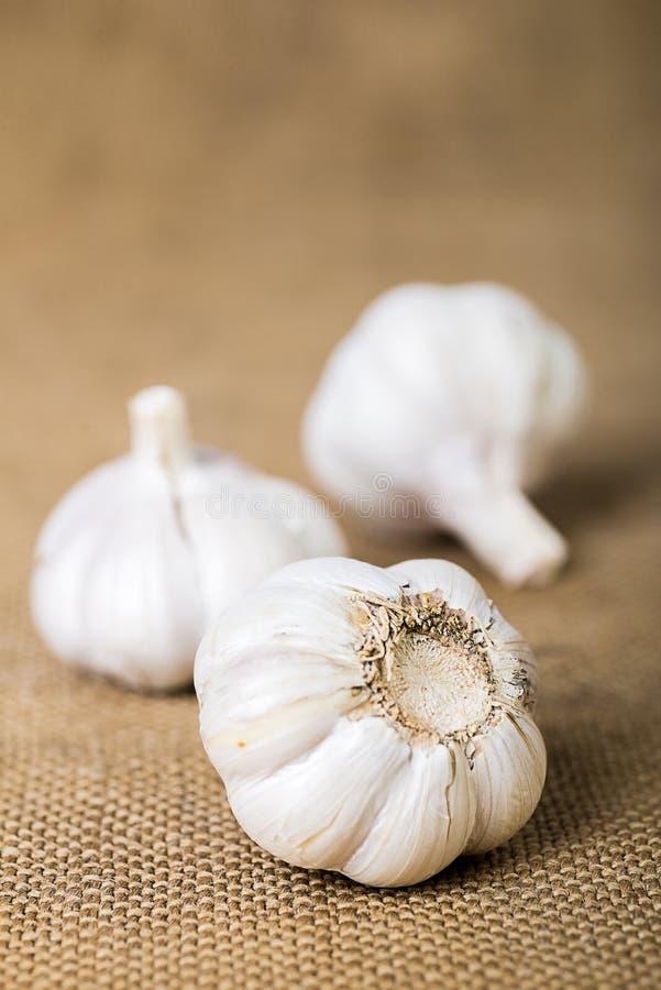 Garlic coarsely