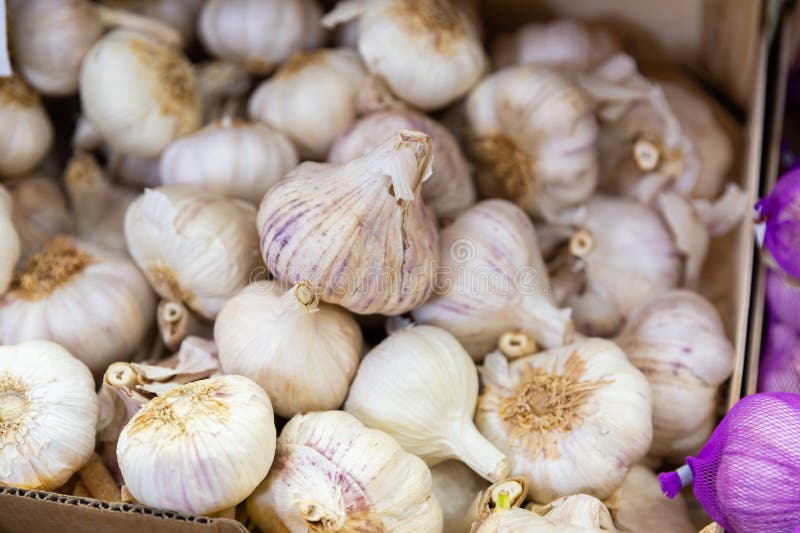 Garlic in a crate for sale store put up close image zdjęcie stock