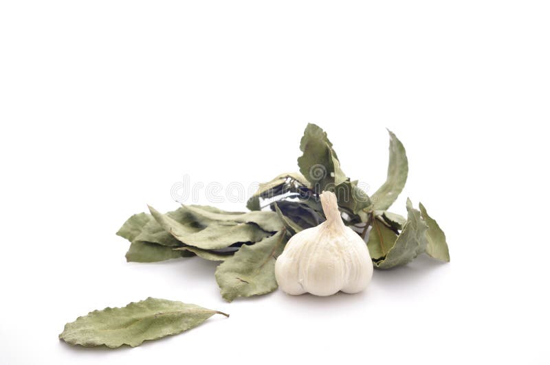 Garlic Dried Bay Leaf Isolated White Stock Photos Free & RoyaltyFree