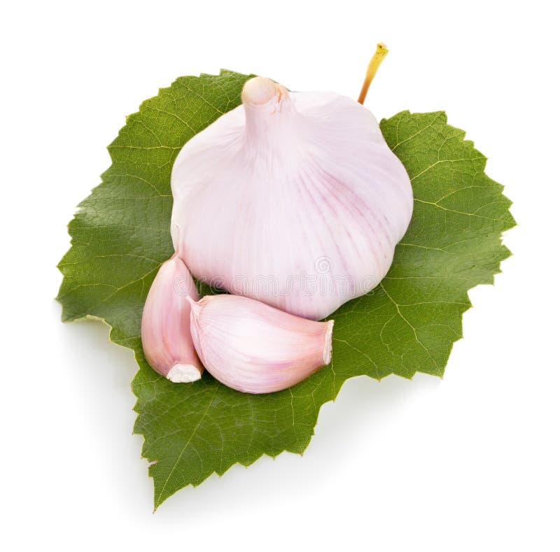 Garlic On Green Leaf Closeup Isolated Stock Image Image of harvest