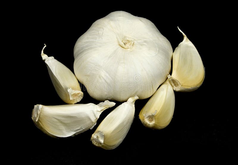 Garlic heads and Cloves stock image. Image of cooking 16376927