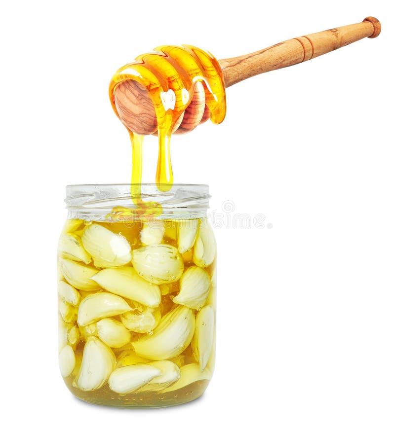 Garlic with honey stock image. Image of dipper, garlic 278852051