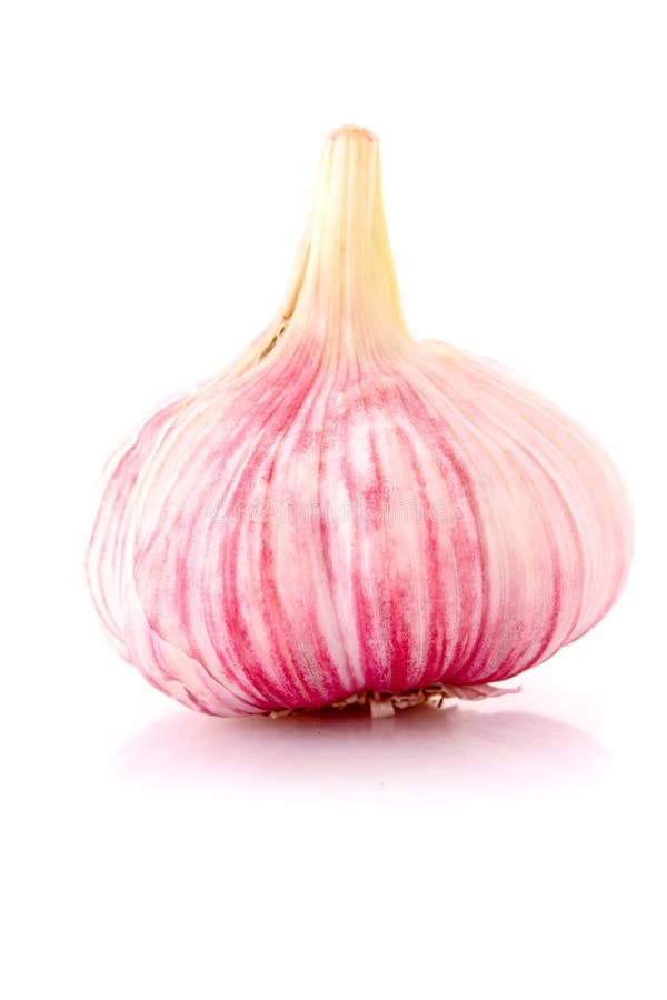 Garlic Head stock photo. Image of nutrition, head, meal 28280508
