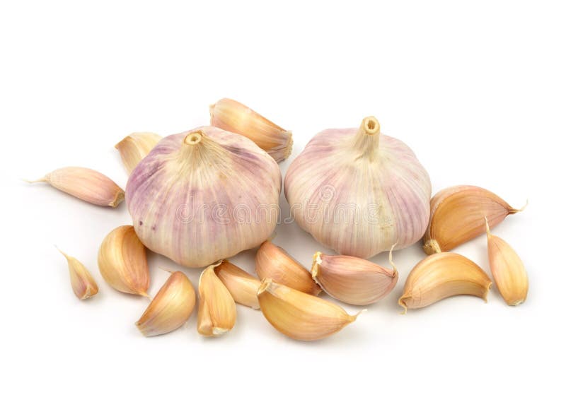 Garlic isolated stock photo