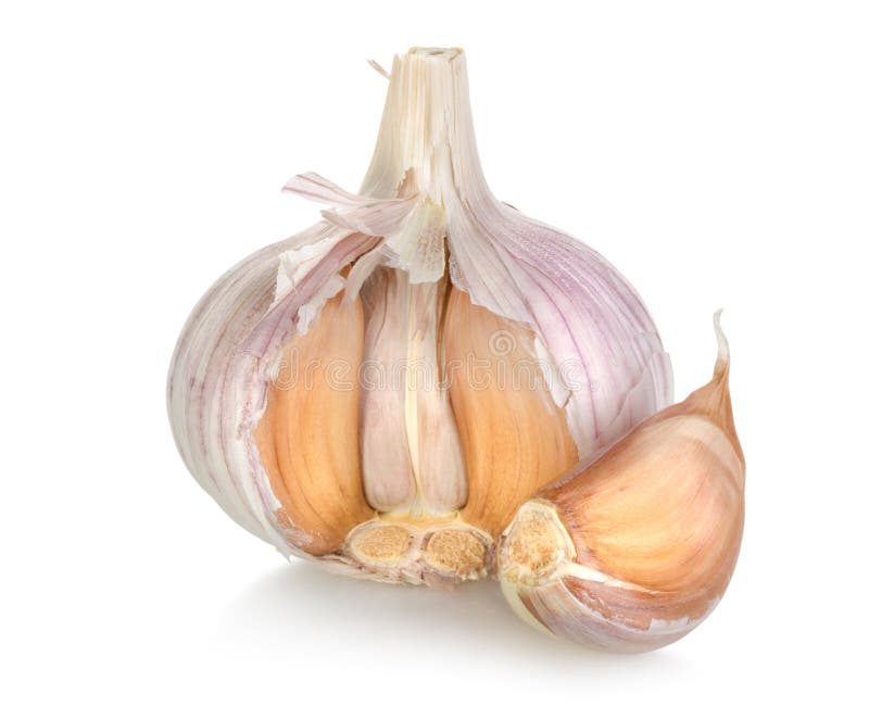 Garlic isolated stock image