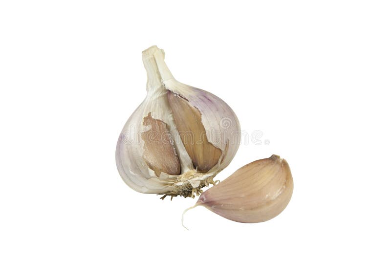 Garlic isolated on white royalty free stock photos
