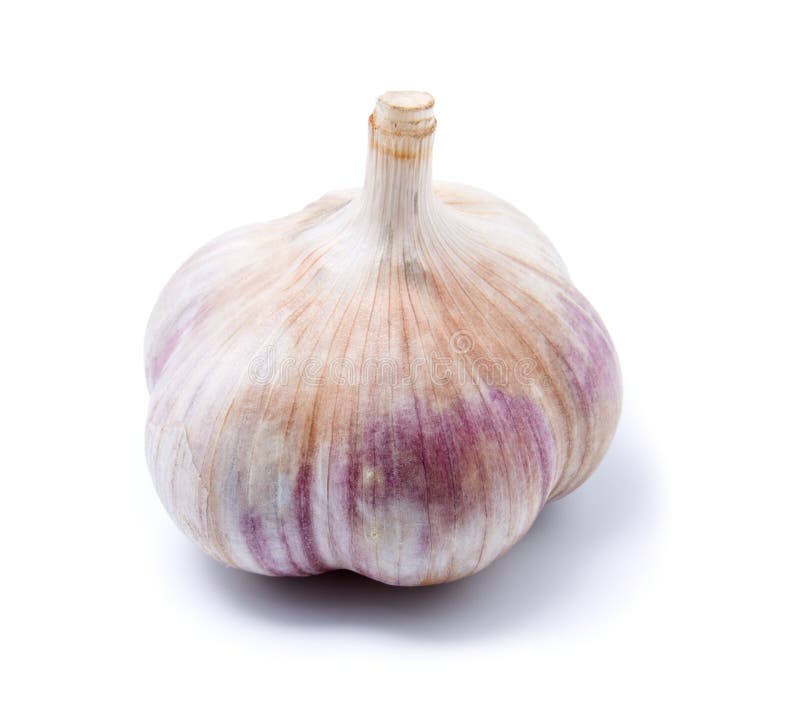 Garlic isolated on white royalty free stock photos