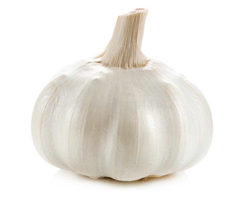 Garlic isolated stock images