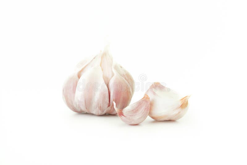 Garlic isolated on white background stock image