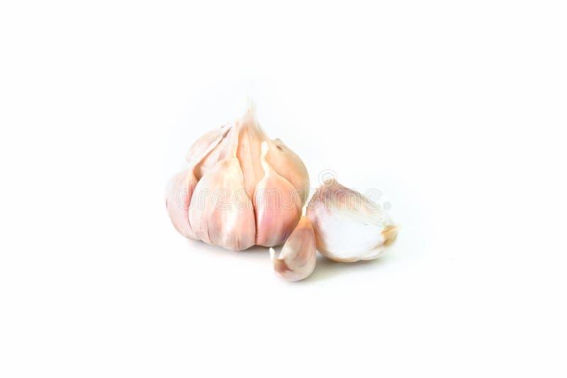Garlic isolated on white background royalty free stock photo