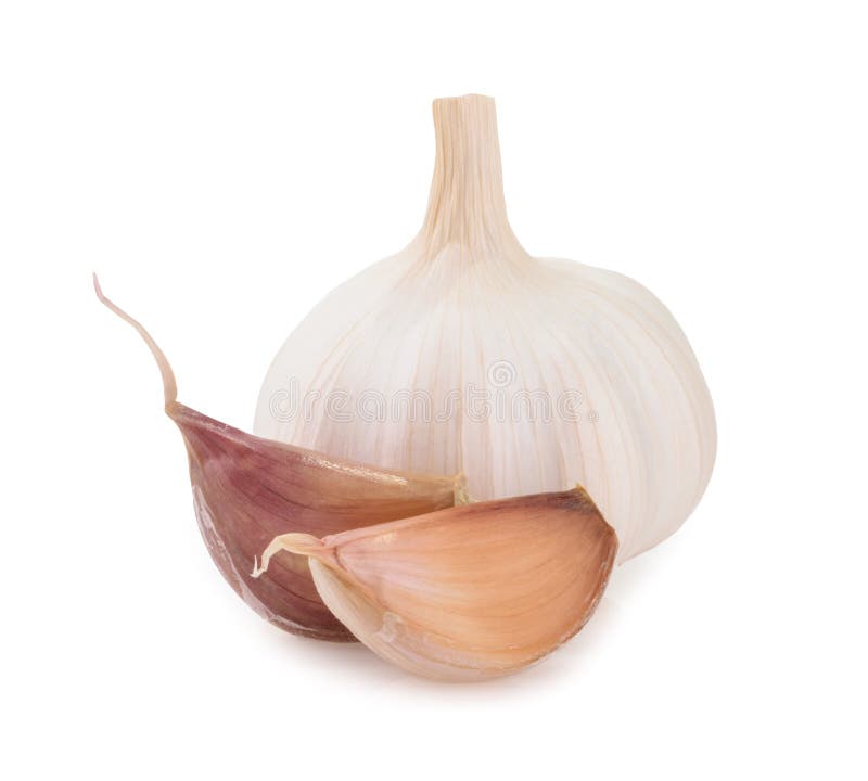 Garlic isolated on white background stock image