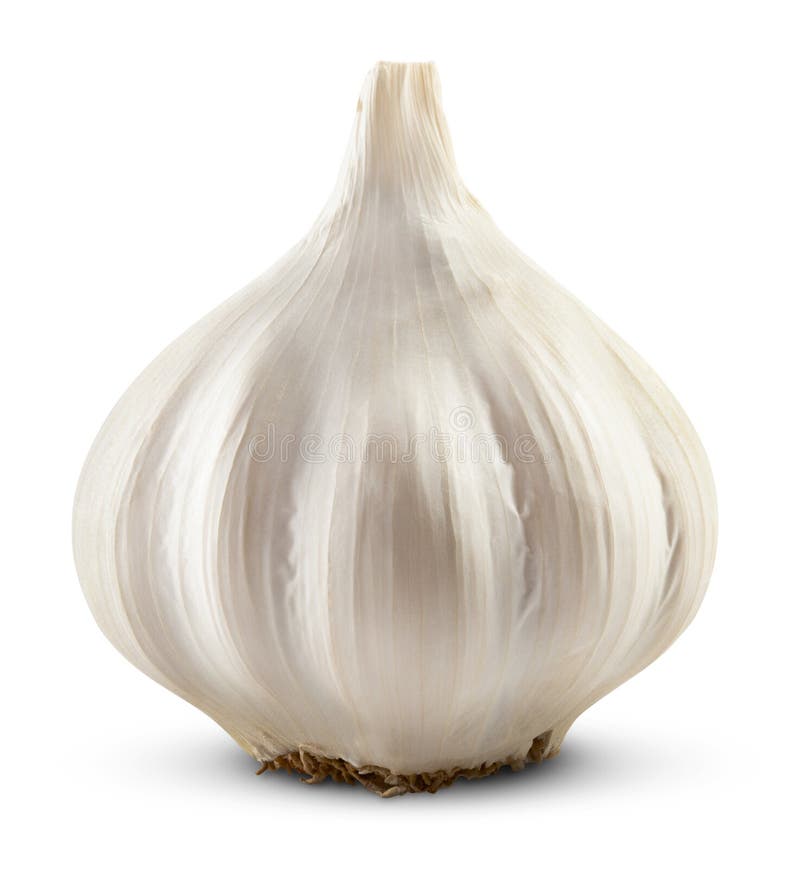 Garlic isolated royalty free stock photography