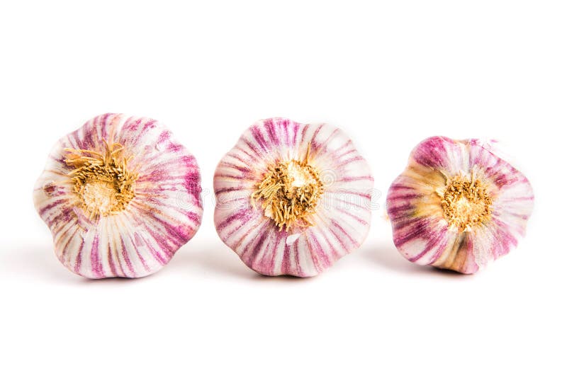 Garlic isolated on white background royalty free stock images