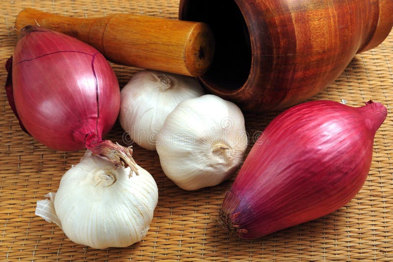 Garlic and onion stock image. Image of pestle, food, nutrition 8556441