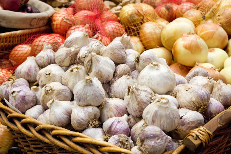 Garlic and Onion Bulbs Closeup Stock Image Image of restaurants