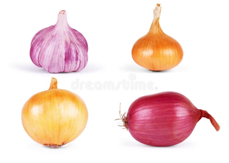 Garlic and Onion Isolated on White Background Set Stock Image Image of black, spice 78466653