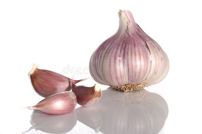 Garlic over a white background