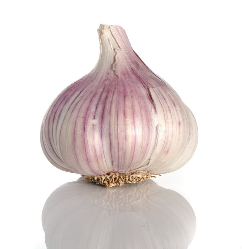 Garlic over a white background