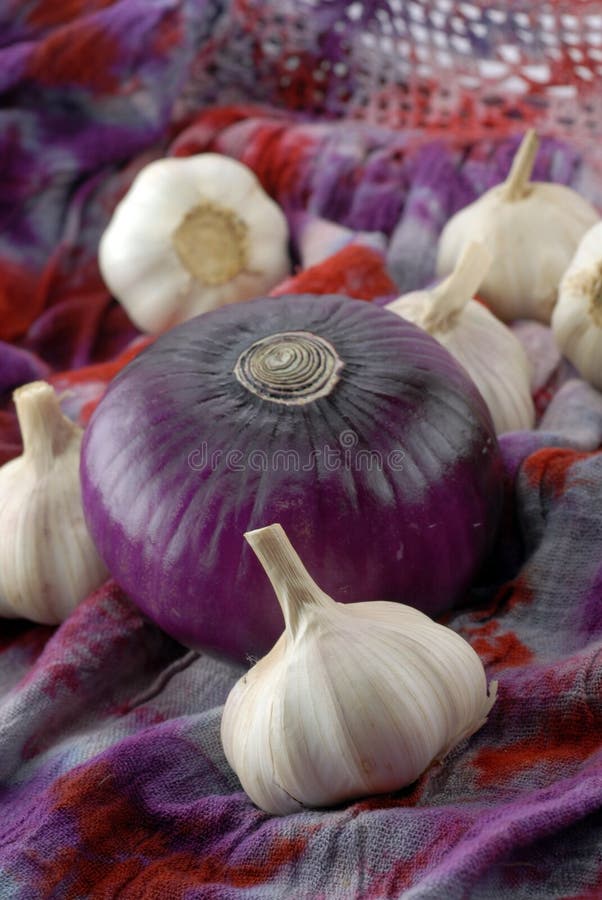 Garlic and purple onion stock image. Image of diet, breath 13487507