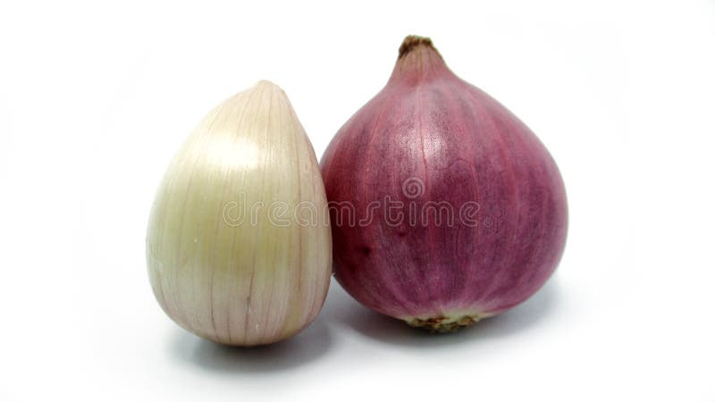 Selective Focus Vegetable Shallot Scientific Name Stock Photo 2311630259