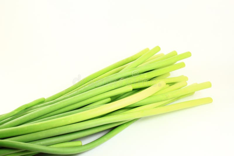 Garlic stem vegetables 2 stock image. Image of asian 11524953