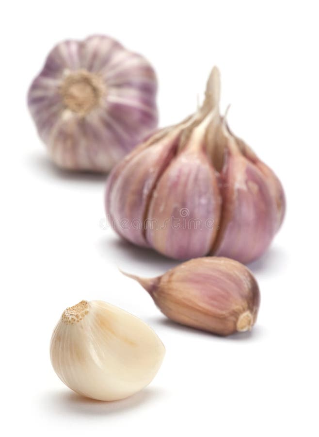 Garlic vegetable stock photo. Image of ingredient, organic 22217314