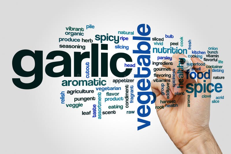 Garlic in word stock photo. Image of herb, spicy, garlic 63000050