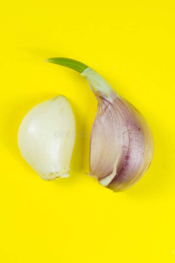 Garlic on a Yellow Background Stock Image Image of healthy