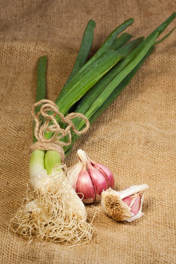 Garlics and green onion