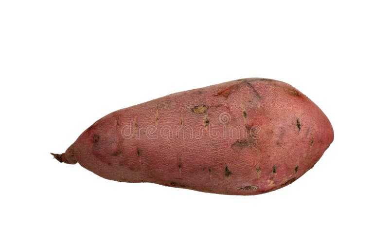 Red Yam Isolated On White Stock Image Image of batata